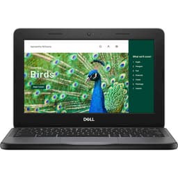 Dell Chromebook 3000 3120 NRD5N 11.6 inches HD Clamshell Chromebook - Gray - Intel N-Series N100 - 8 GB RAM - 64 GB Flash Memory - English (US) Keyboa