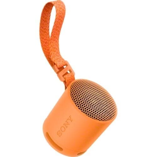 Sony SRS-XB100/D Portable Wireless Speaker