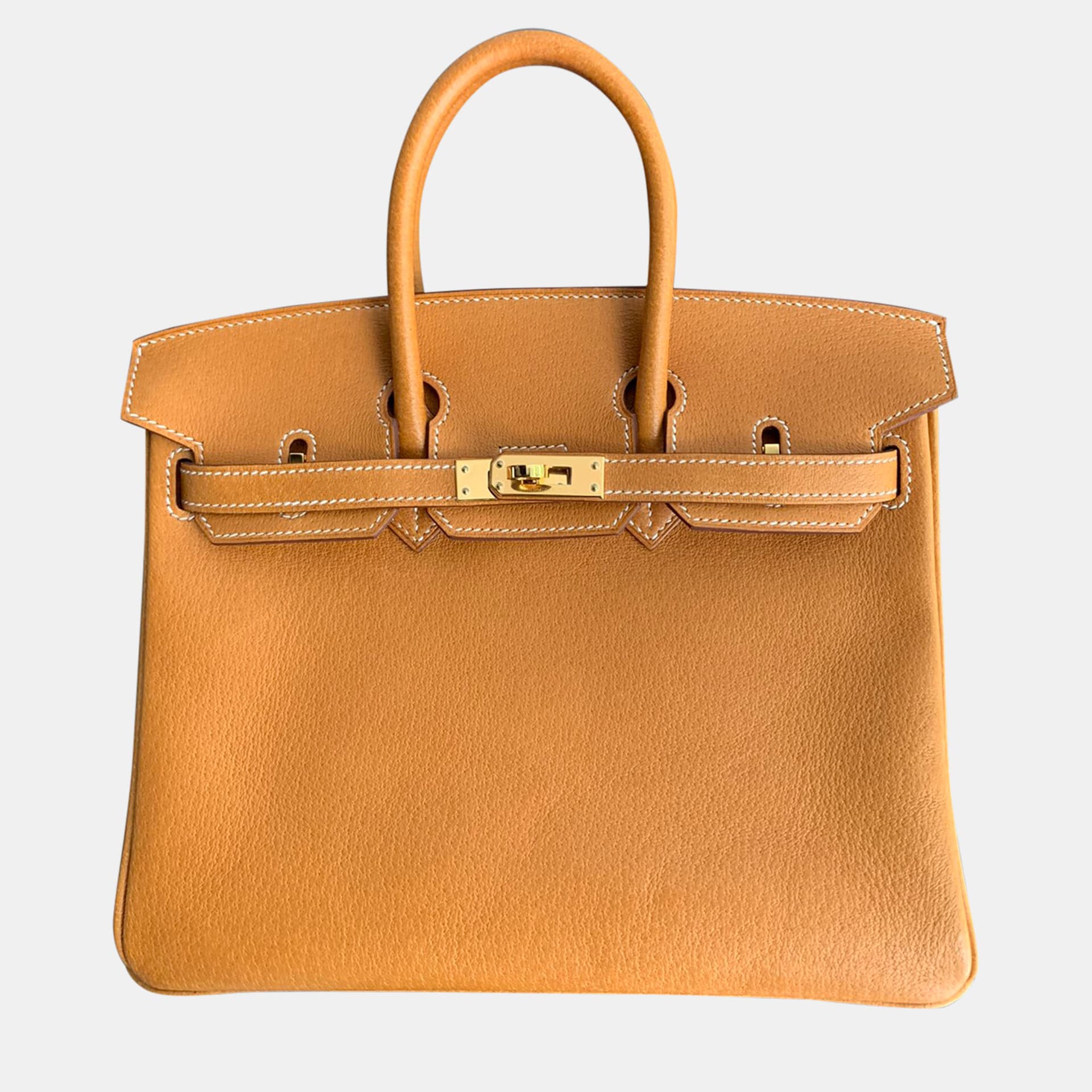 Hermes Birkin 25 Gold Peau Porc Leather Top Handle Bag