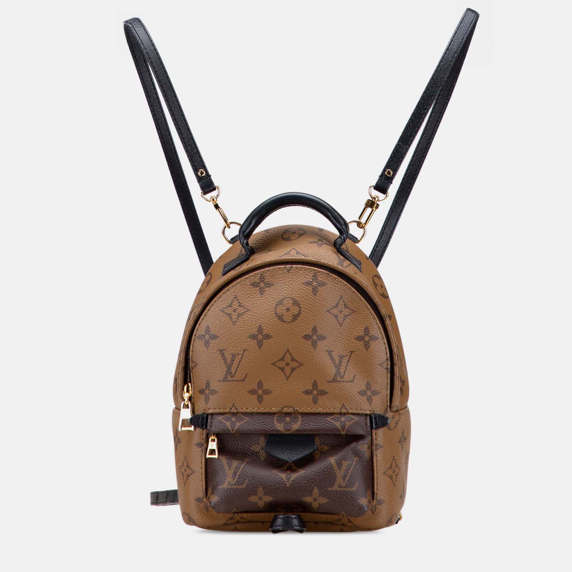 Louis Vuitton Monogram Reverse Mini Palm Springs