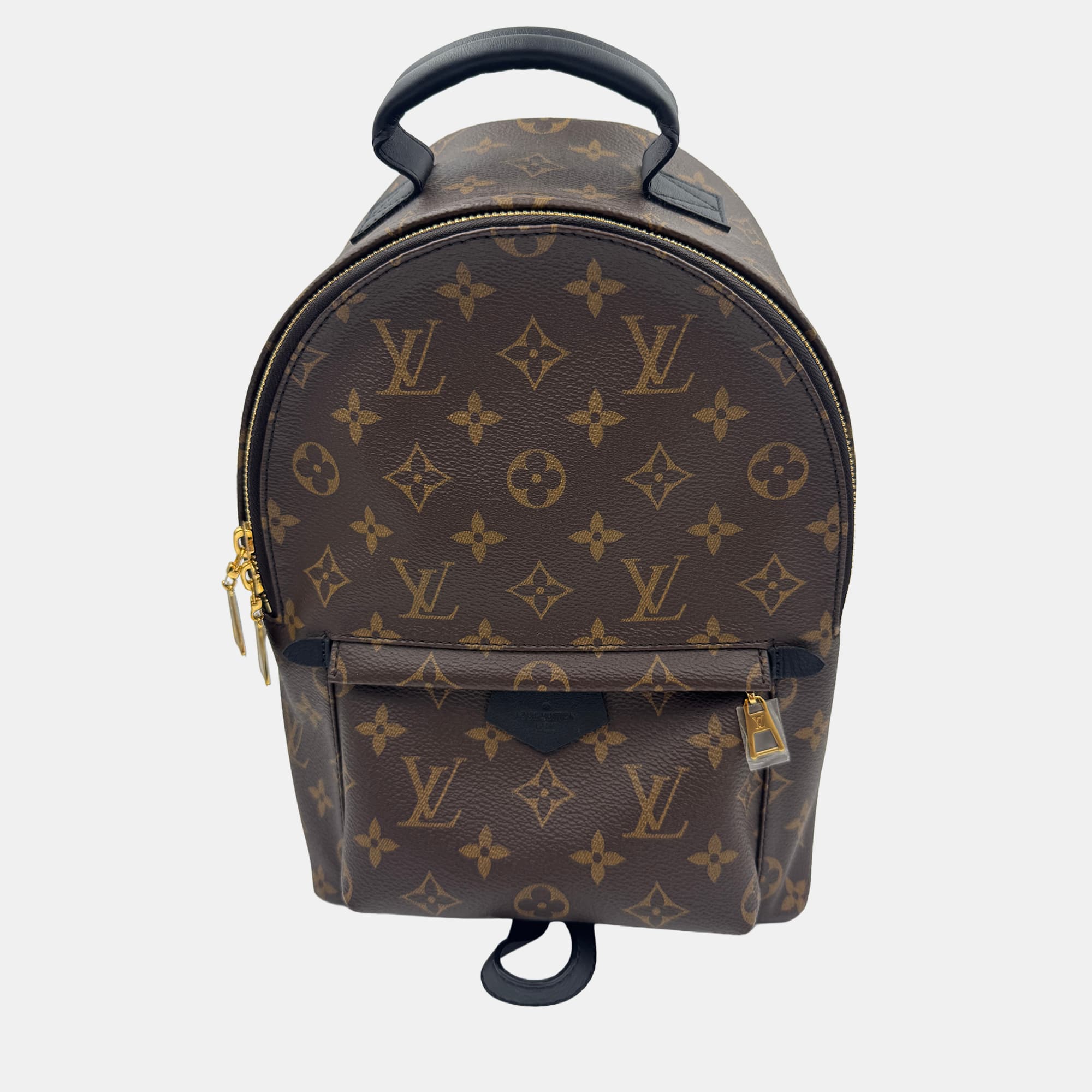 Louis Vuitton Palm Springs PM Monogram Canvas Backpack