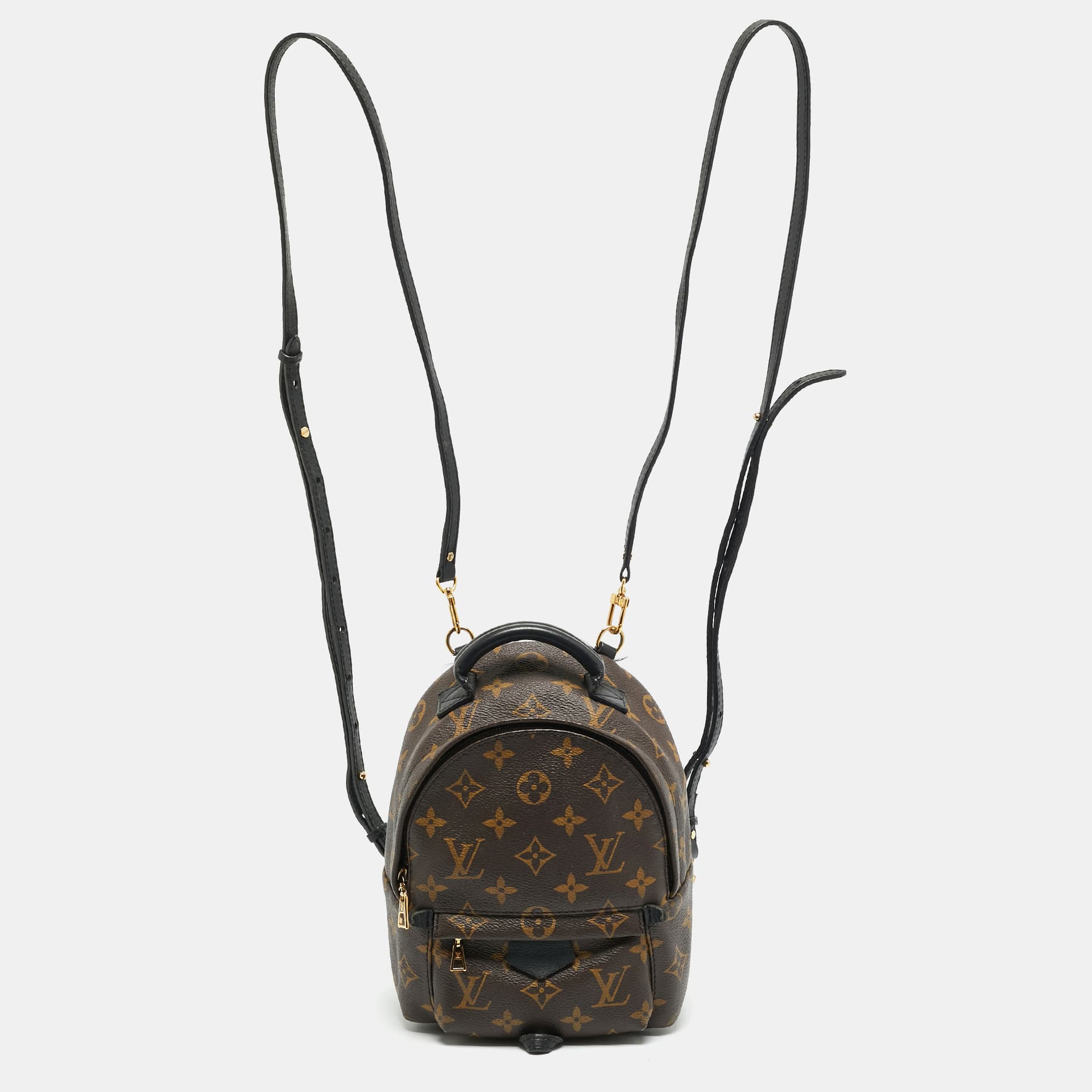 Louis Vuitton Palm Springs Mini Monogram Canvas Backpack