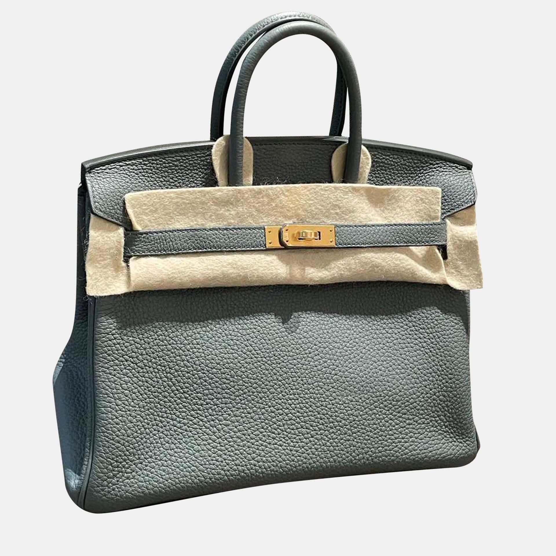 Hermes Birkin 25 Vert Amande Togo Calfskin Leather Top Handle Bag