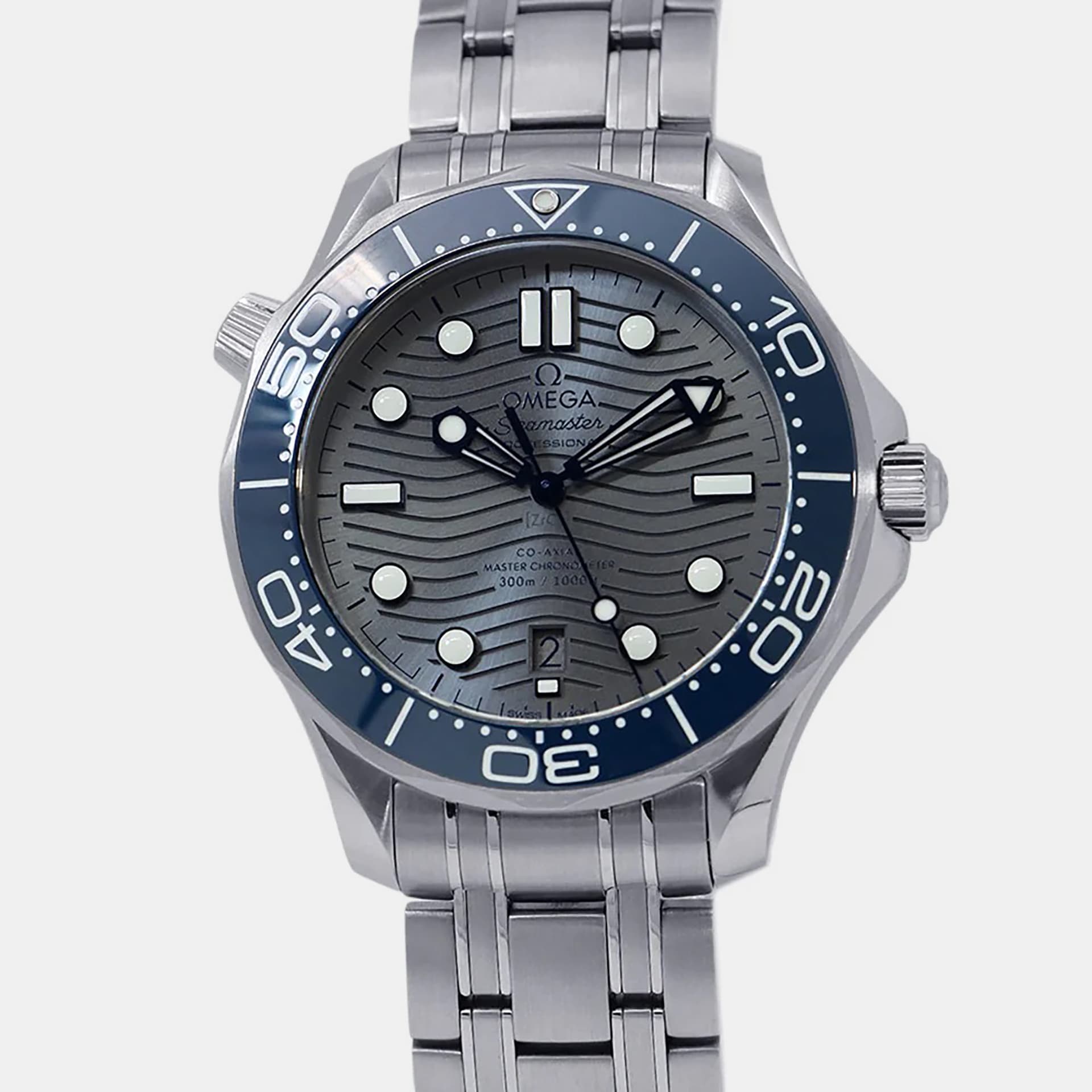 Omega Seamaster Professional 210.30.42.20.06.001Grey Stainless Steel Men's Wristwatch 42mm