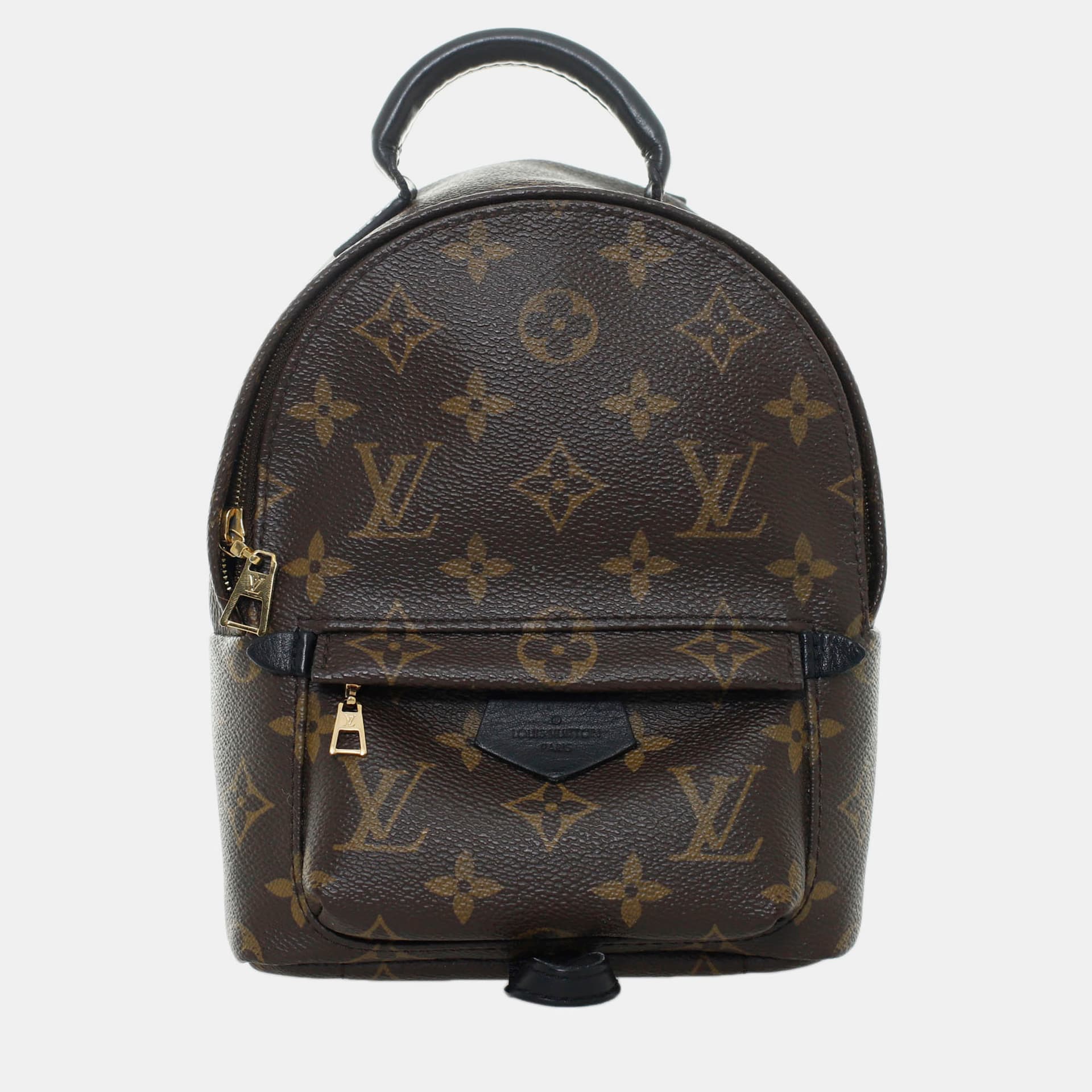 Louis Vuitton Mini Palm Springs Monogram Mini Backpack Brown Monogram Canvas Backpack Bag