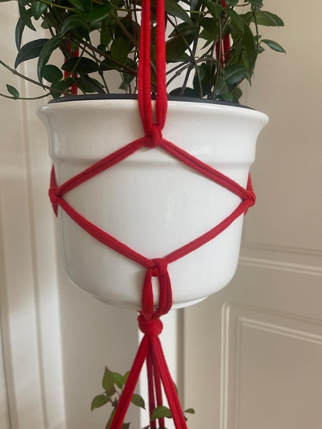 Två styck amplar för 3 krukor/ växter, plantor, 13-15 cm