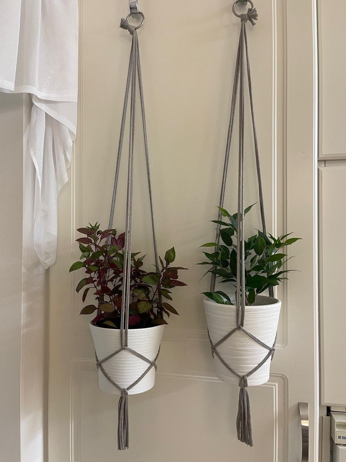 Amplar för blomkrukor gråa, makramé, växt, plants (10-12 cm)