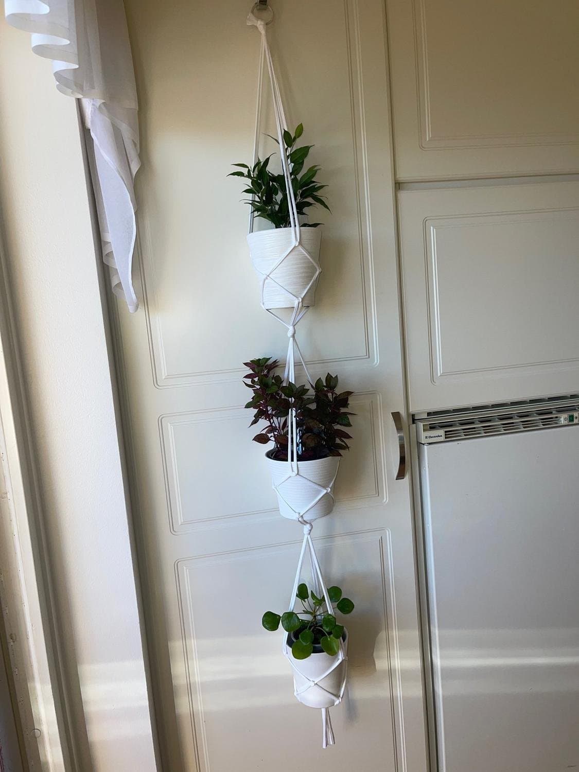 Tre styck amplar för 6 krukor/ växter, plantor (13-15 cm)