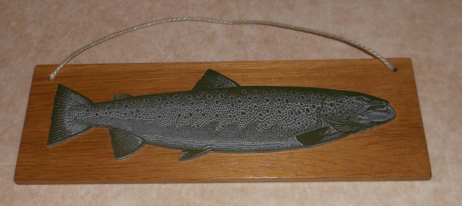 Tavla med Ädelfisk i Metall Lax Laxöring Röding