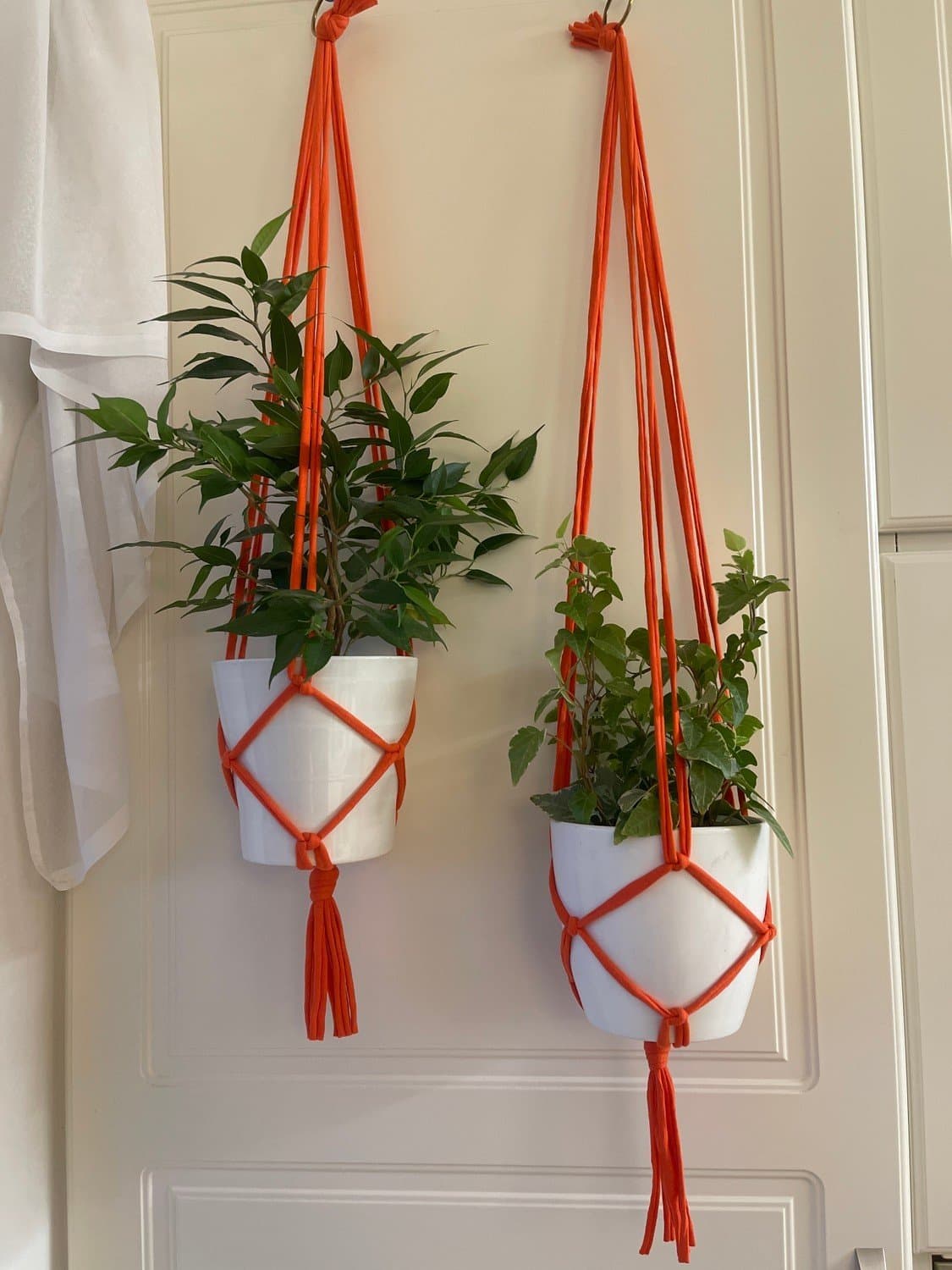 Amplar för blomkrukor, orangea, makramé, växt, plants (10-12 cm)