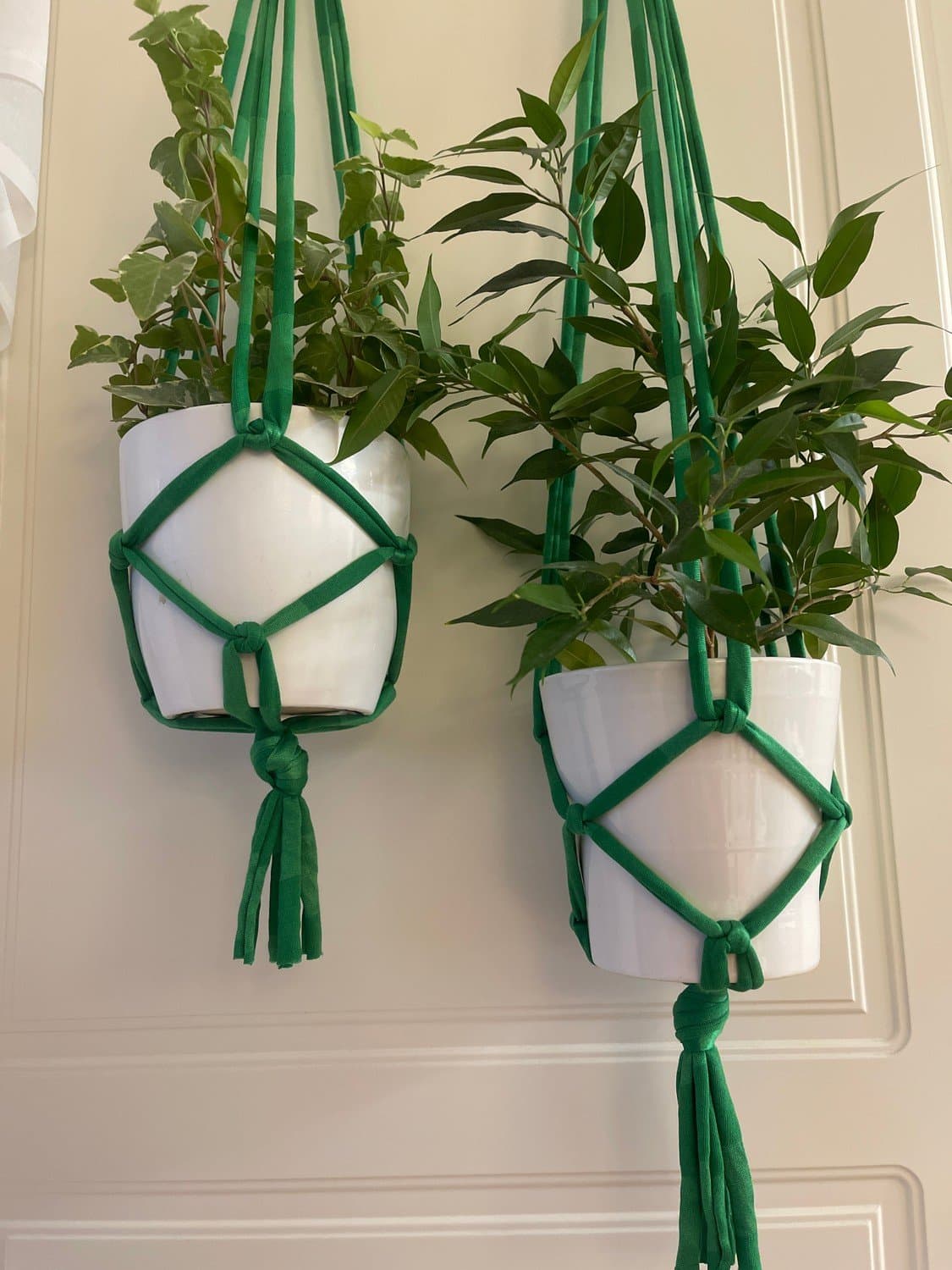 Gröna Amplar för blomkrukor 2 st (16-20 cm)