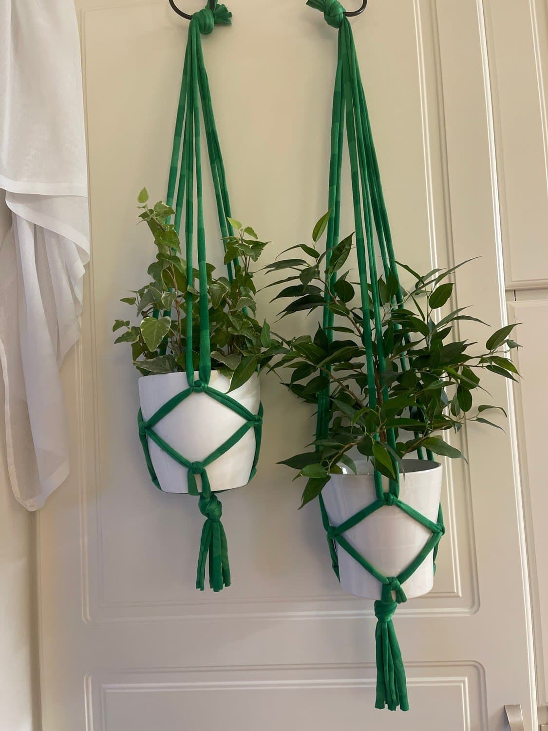 Gröna Amplar för blomkrukor 2 st (13-15 cm)
