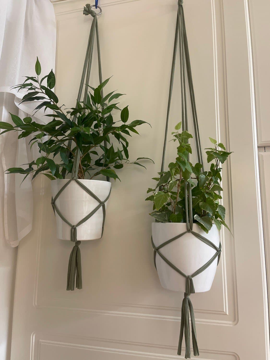 Träskgröna Amplar för blomkrukor 2 st (10-12 cm)