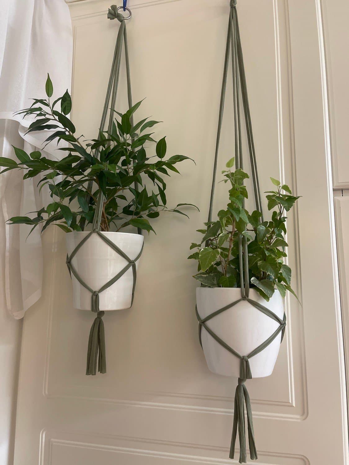 Träskgröna Amplar för blomkrukor 2 st (13-15 cm)