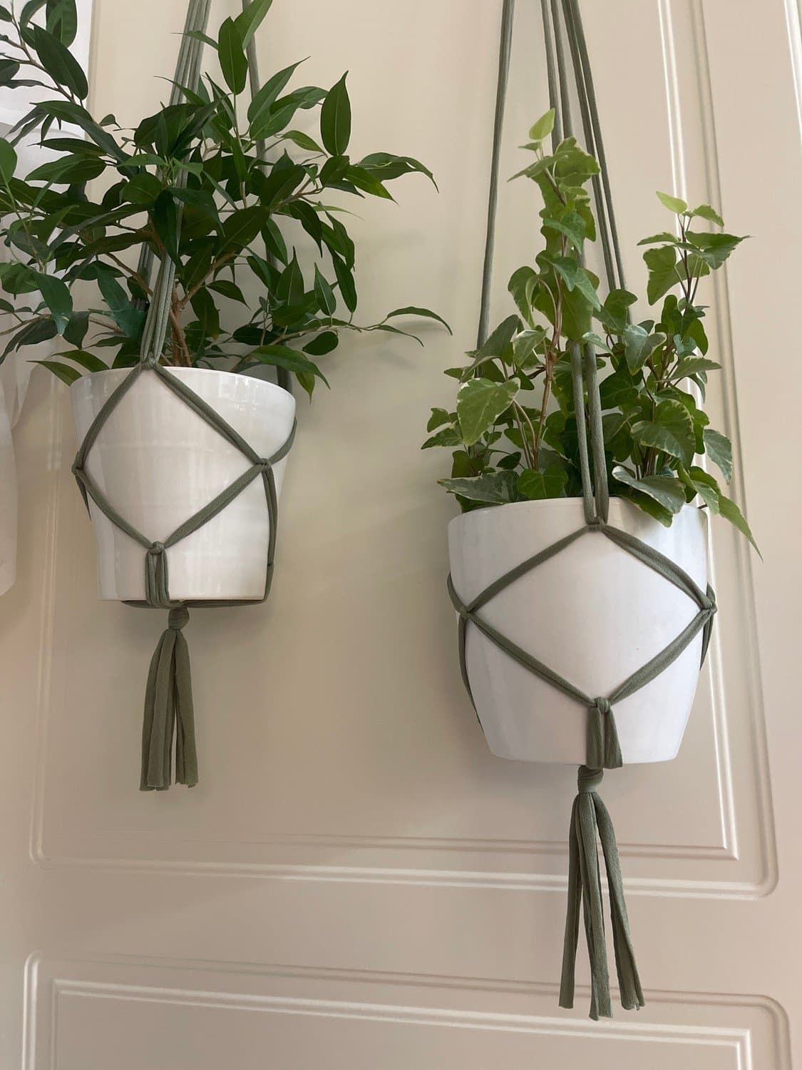 Träskgröna Amplar för blomkrukor 2 st (13-15 cm)