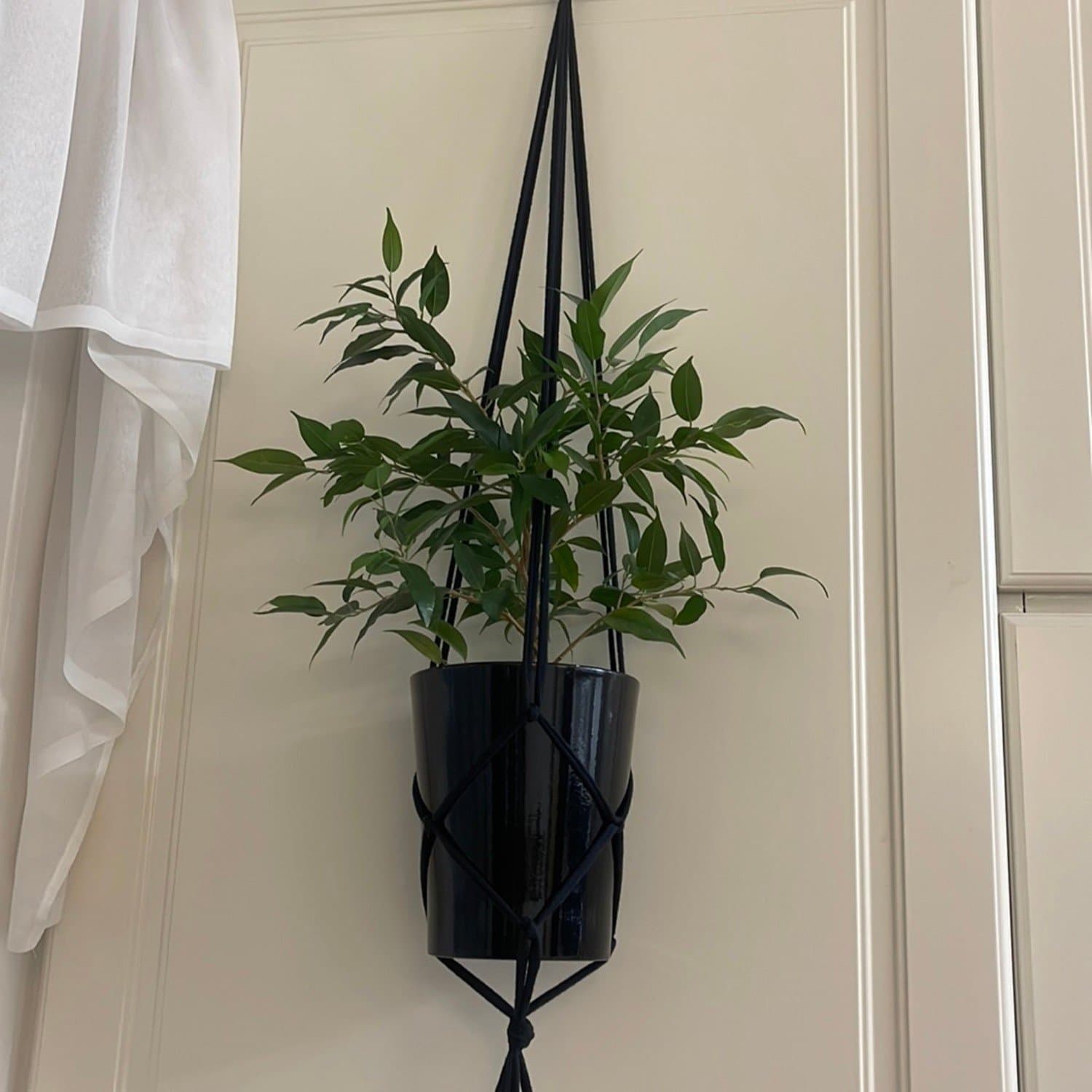 Ampel, plant’s hanger , handmade, macramé svart (13-15 cm)