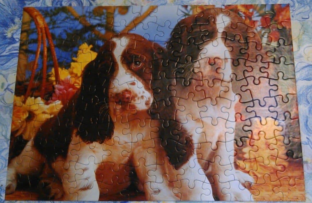 Hund pussel 120 bitar Söta Hundar Spaniels FAME PUZZLES blommor present julklapp