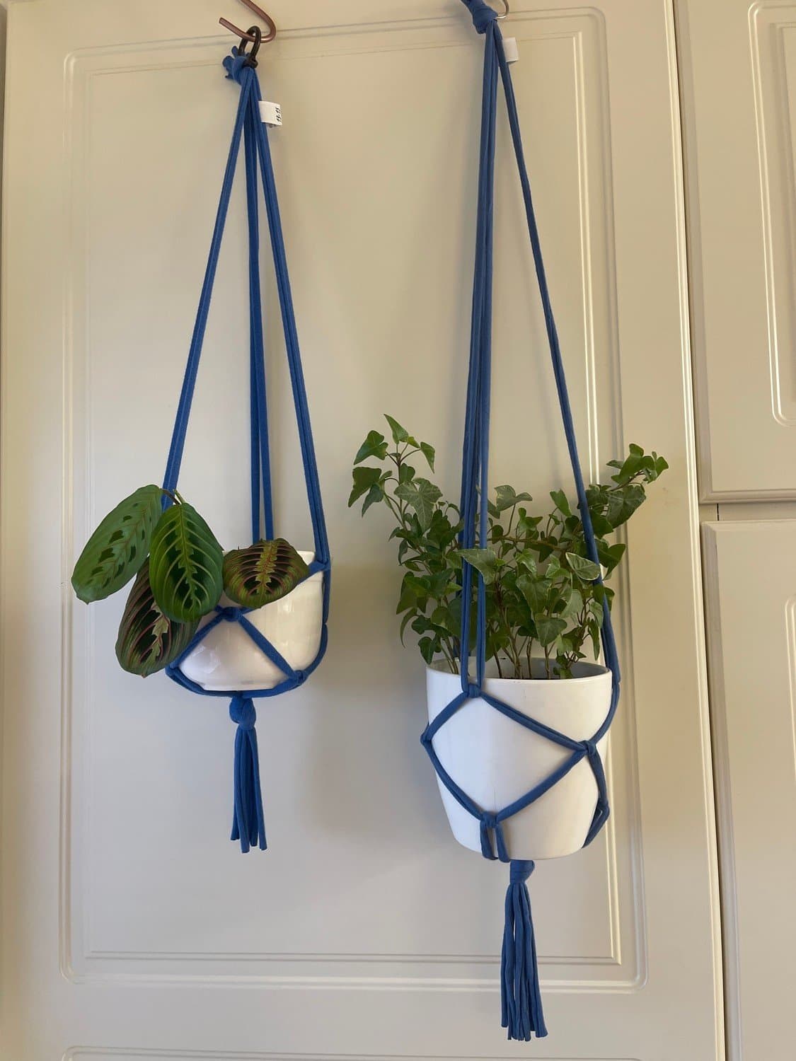 Amplar för blomkrukor (10-12 cm) blåa, makramé, växt, plants