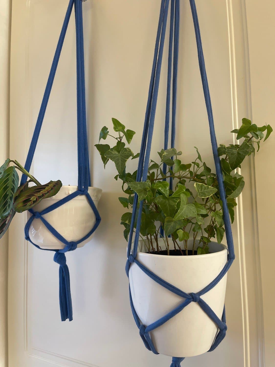 Amplar för blomkrukor (10-12 cm) blåa, makramé, växt, plants