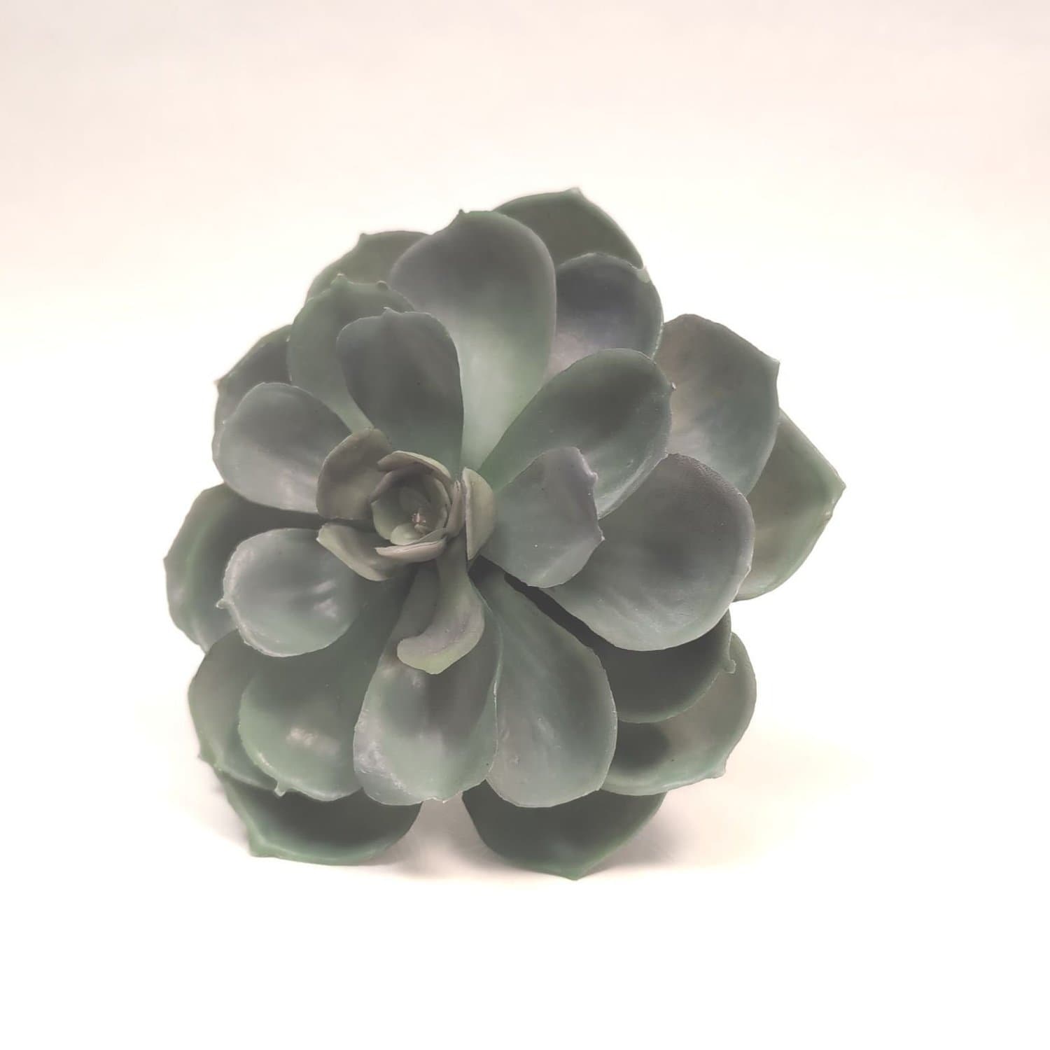 Konstväxt realistisk suckulent 17 cm