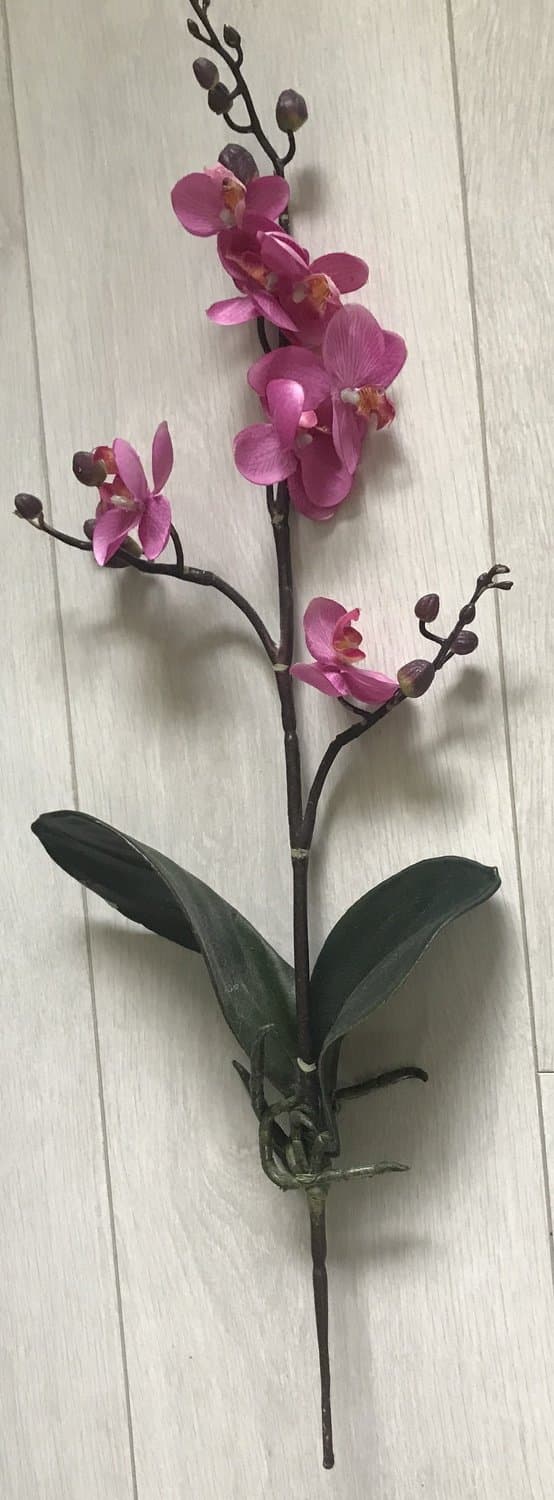 Orkidé Konstväxt