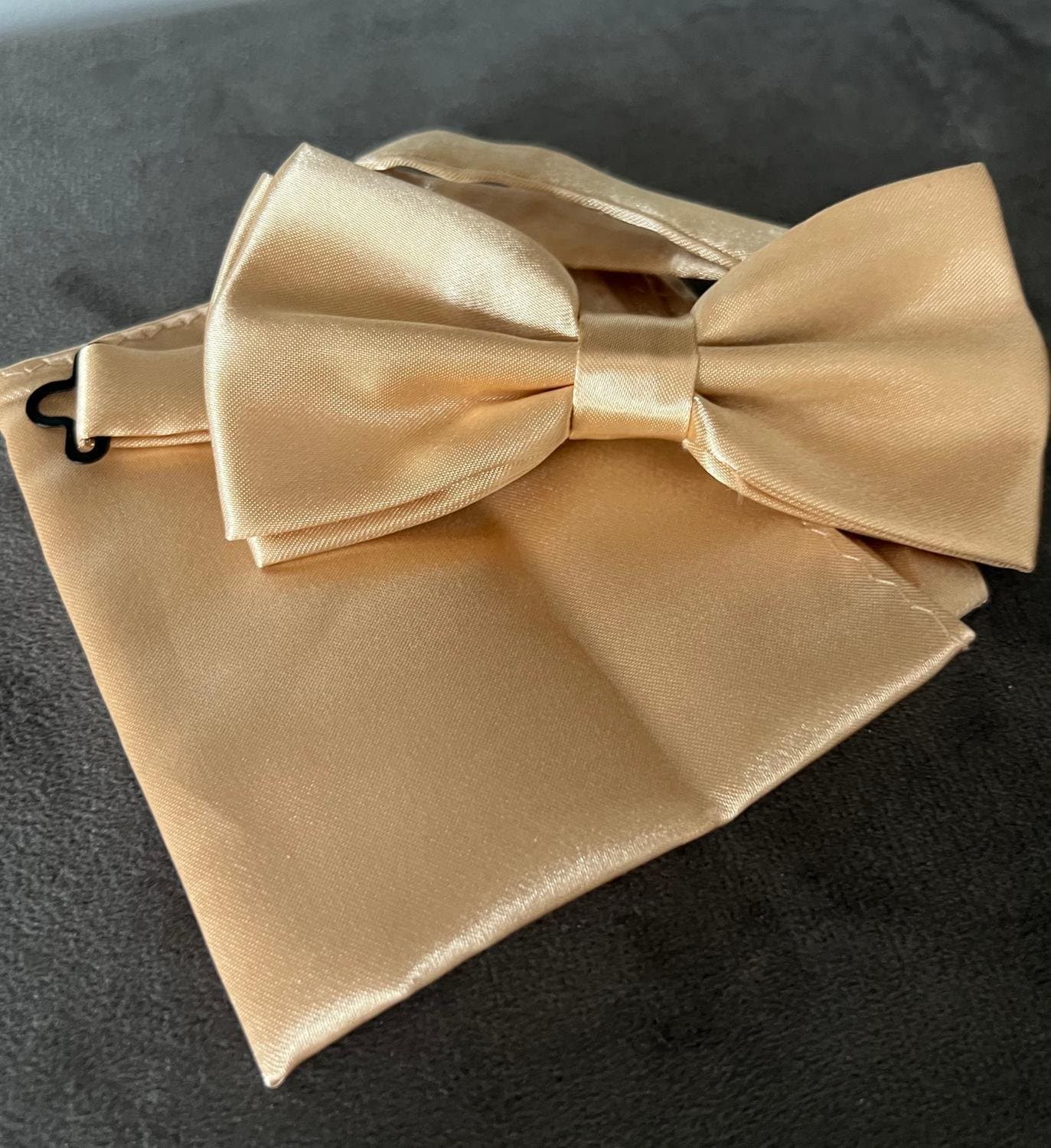 NYTT! Set i fin beige siden Näsduk + matchande fluga