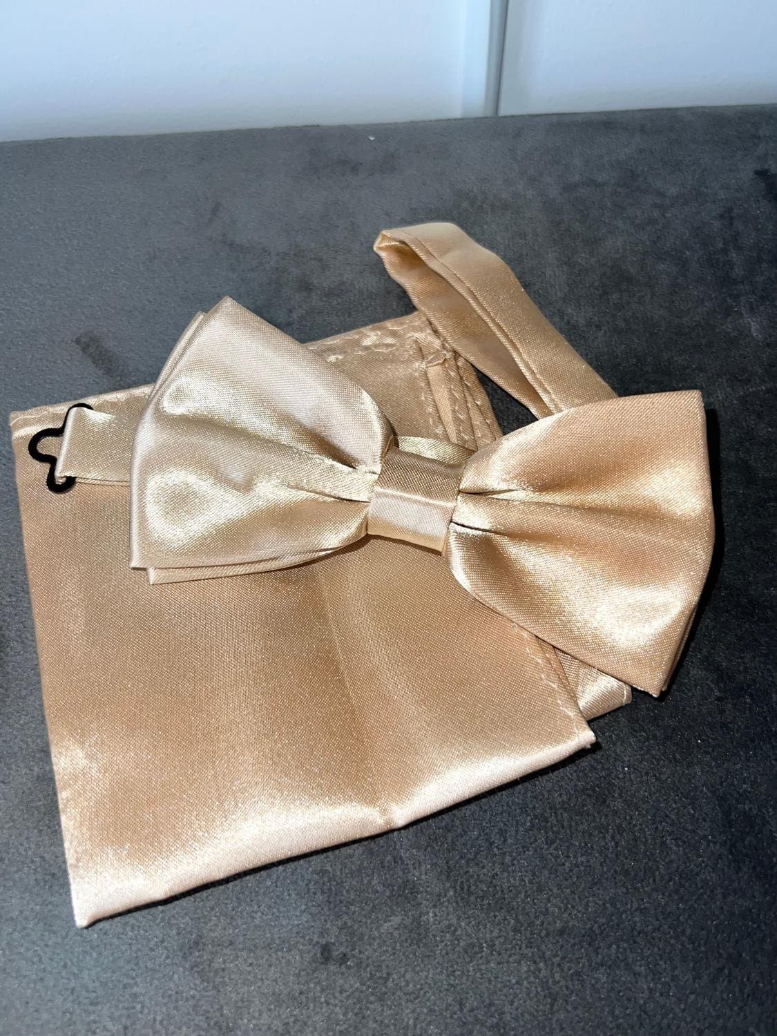 NYTT! Set i fin beige siden Näsduk + matchande fluga