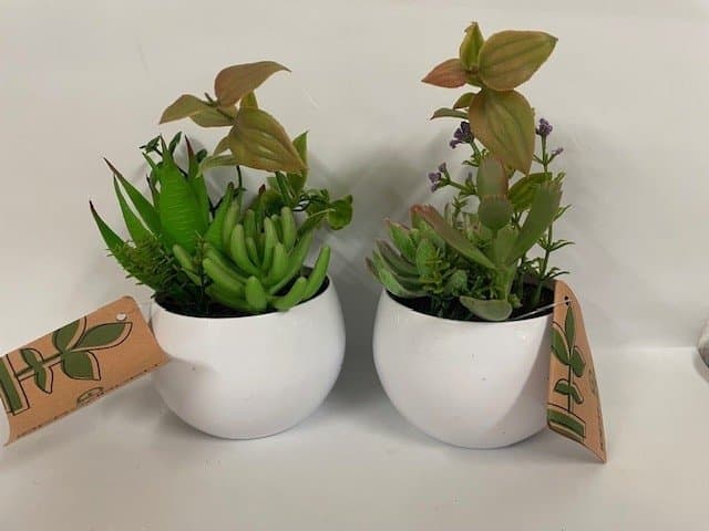 2 Konstgjorda växter i kruka