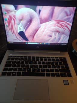 13.3” HP Probook 430 G6 | Batterihälsa 85.7% | 8:e Gen i5-8265u | 16GB | Win 11