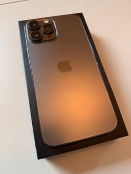 iPhone 13 Pro Max Olåst