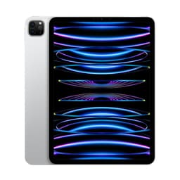 iPad Pro 11" Wi-Fi M2 (4th Gen) 128GB Grade C