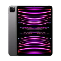 iPad Pro 11" Wi-Fi M2 (4th Gen) 512GB Grade C
