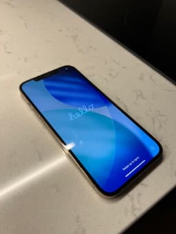 iPhone 12 Pro Max 512GB Guld + Lightning USB-C sladd