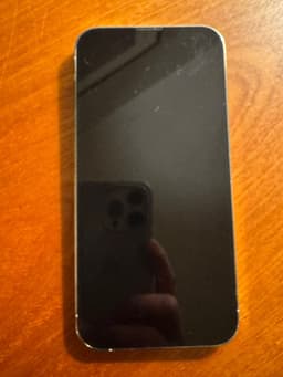 iPhone 13 PRO 256 GB