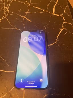 iPhone 13 Pro max 256G