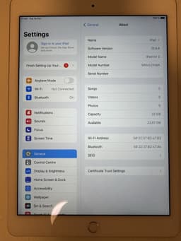 iPad Air 2 - Utan laddare
