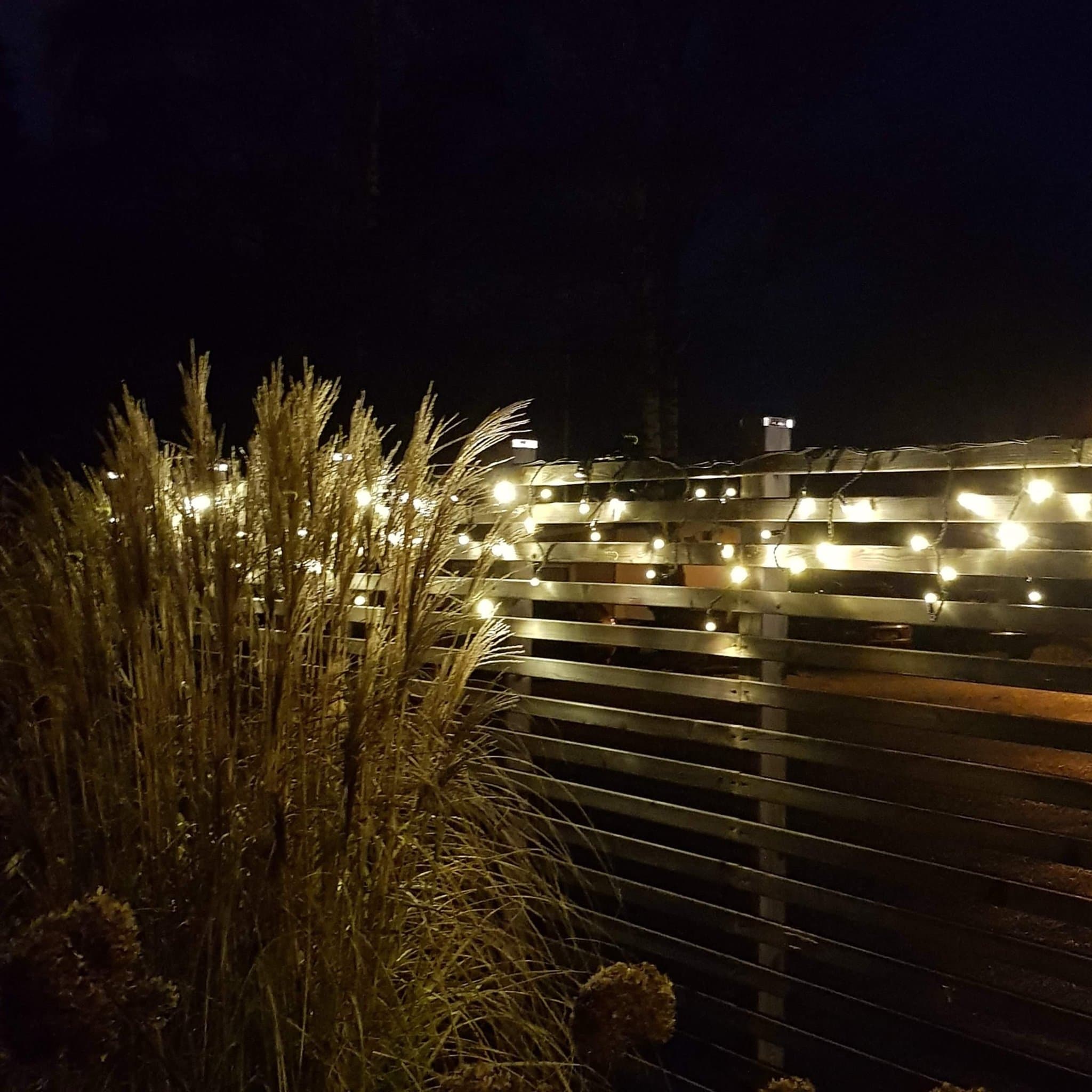 Star Trading istappsslinga System LED 15 m