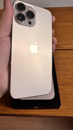 iPhone 13 Pro Max 256GB