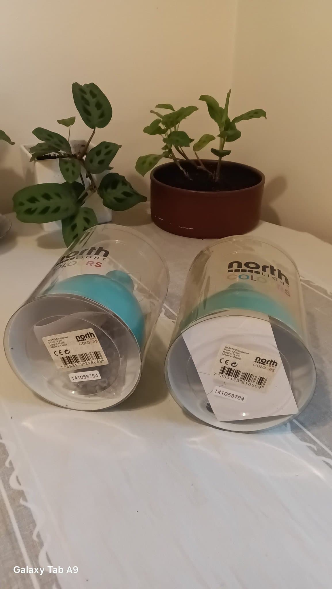 North Light Colours Lampa