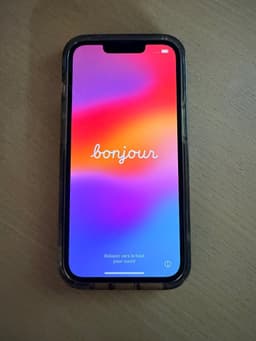 iPhone 13 Pro (256 gb)