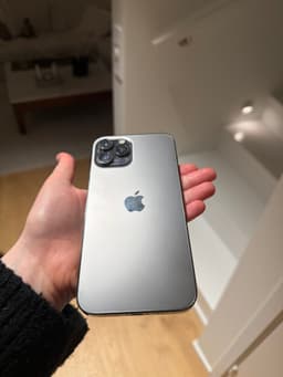 iPhone 12 Pro Max - Grafitgrå