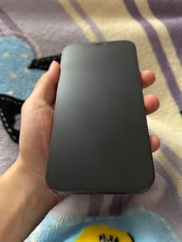 iPhone 12 Pro Max 128GB, 94% batterihälsa