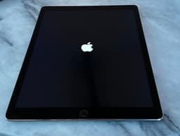 Apple iPad Pro 12,9 rymdgrå