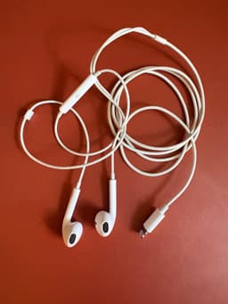 Apple EarPods