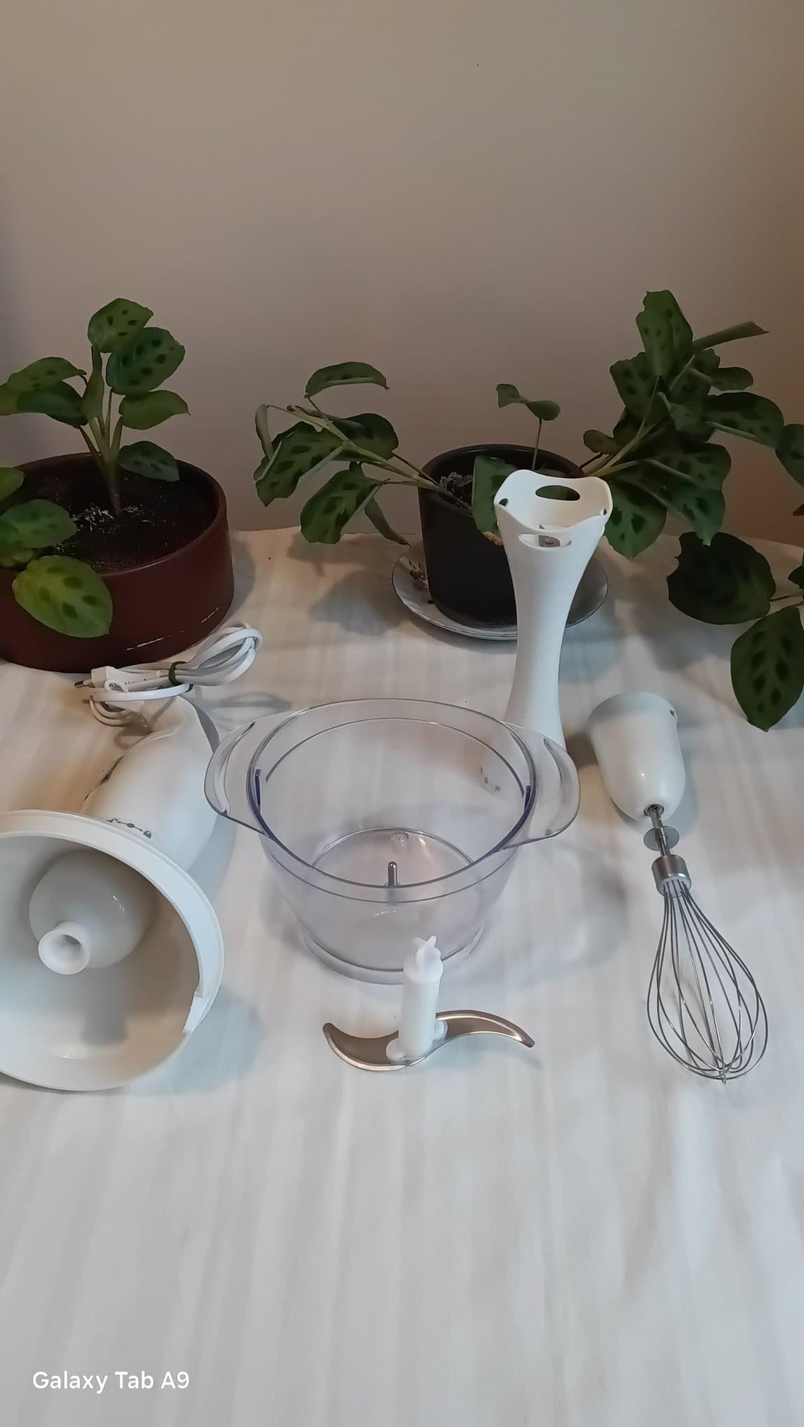 Adexi stavmixer med tillbehör