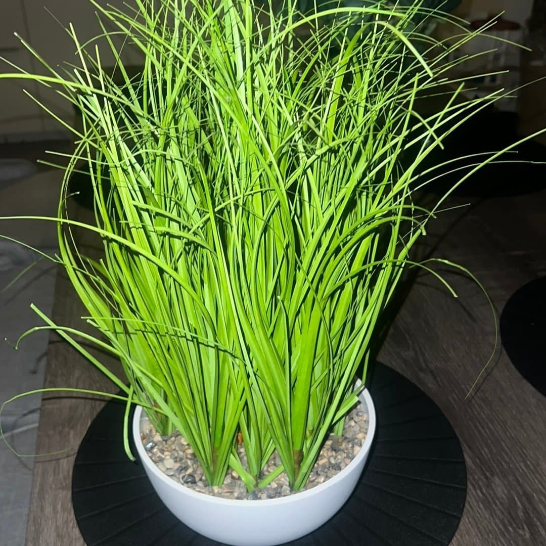 Konstgjord Prydnadsgräs