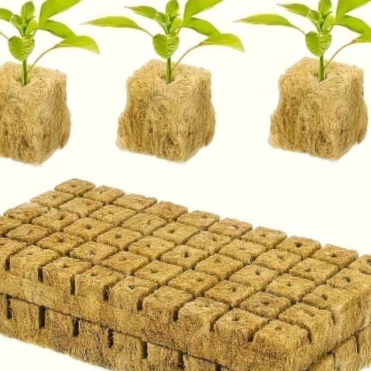 300 St Rockwool Odlings/Frögroningskuber/block av Rockwool