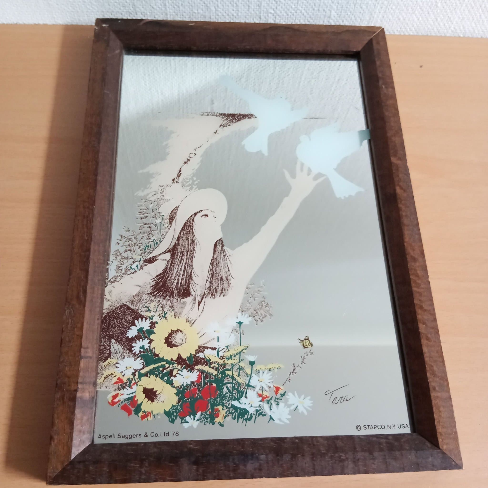 Vintage Spegel Tavla