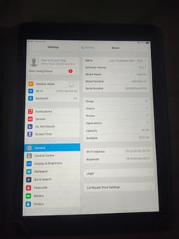 iPad Air 16 GB