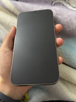 iPhone 12 Pro Max, 256GB, 100% batterihälsa